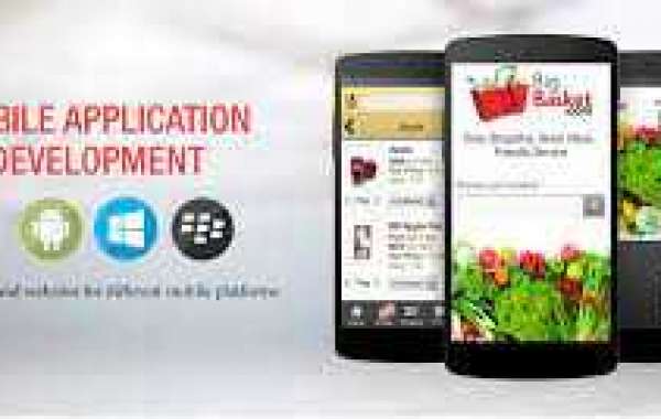 App Development Cost in British Columbia