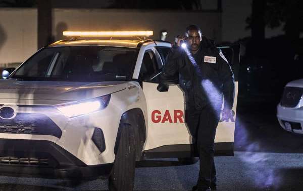 End The Struggle, Read This Article About Home Security