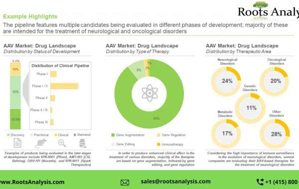 Adeno Associated Viral Vector Market Professional Survey Report by 2035