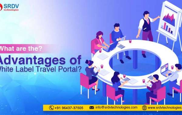 What are the advantages of White Label Travel Portal?