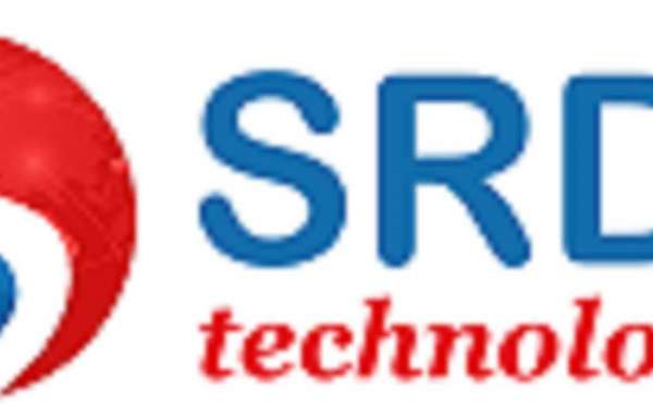 What makes SRDV a best travel portal development company?