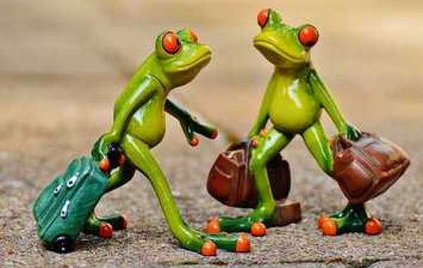 Tote bags belong in the kitchen too