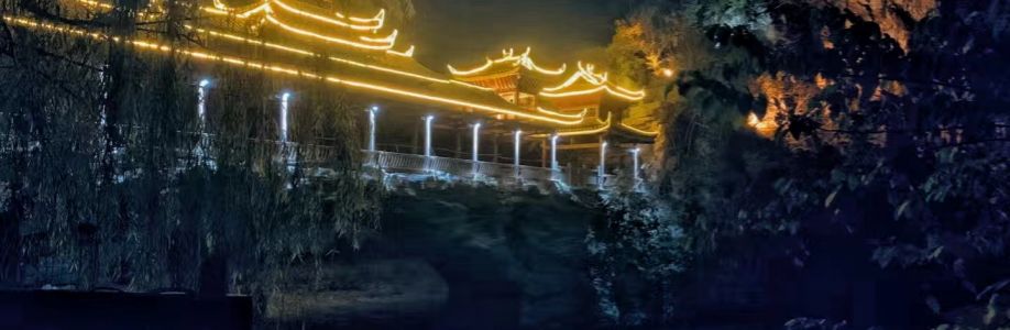 wangmingsheng Cover Image