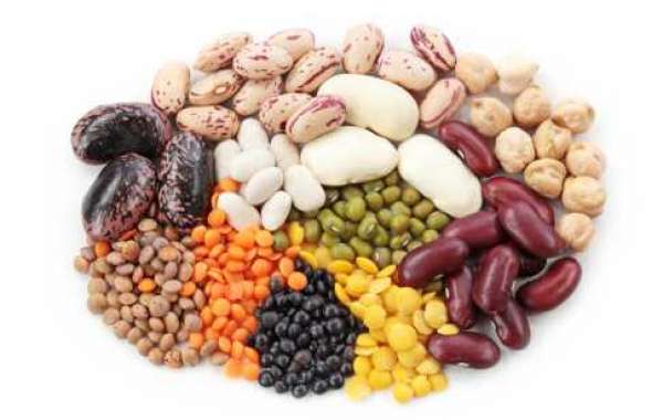 Legumes Market Outlook | Scope of Current and Future Industry forecast year 2032