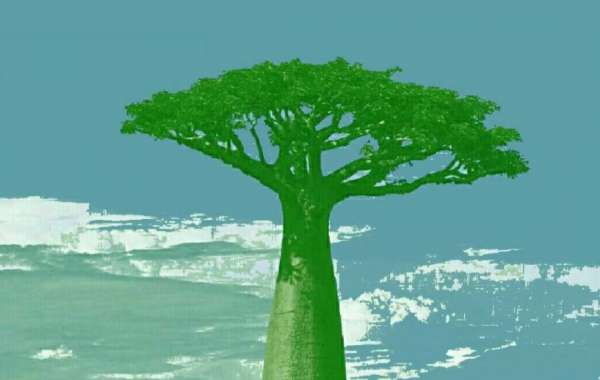 我走在那些有能力有想法有执行力的人之间