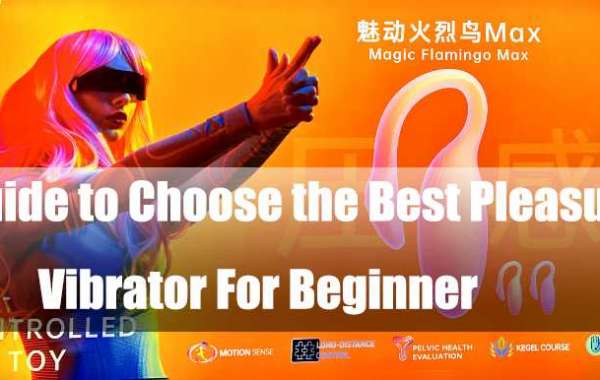 Guide to Choose the Best Pleasure Vibrator For Beginner